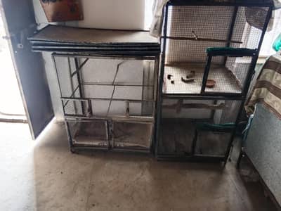 birds cage