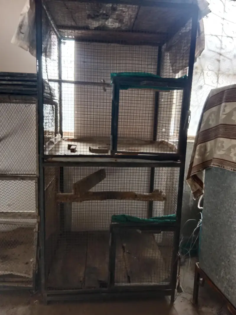 birds cage — photo 2