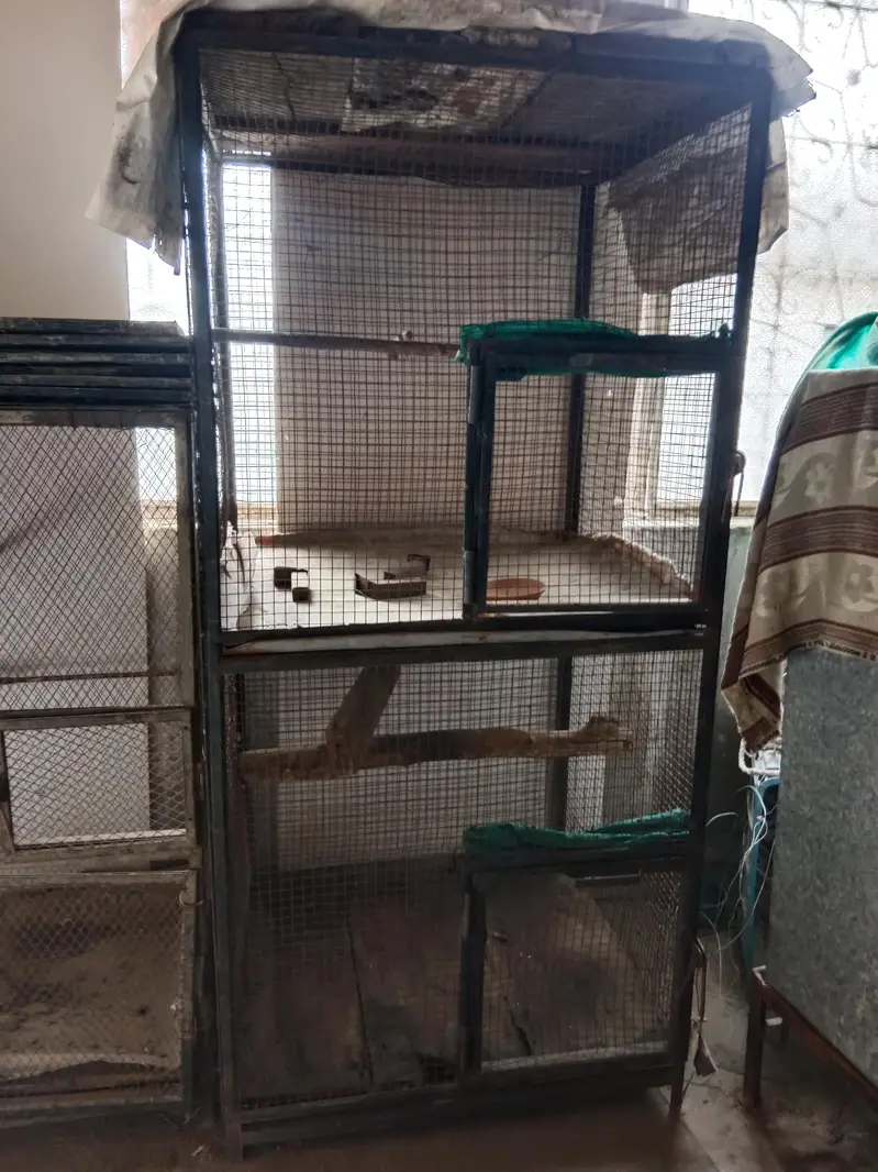 birds cage — photo 3