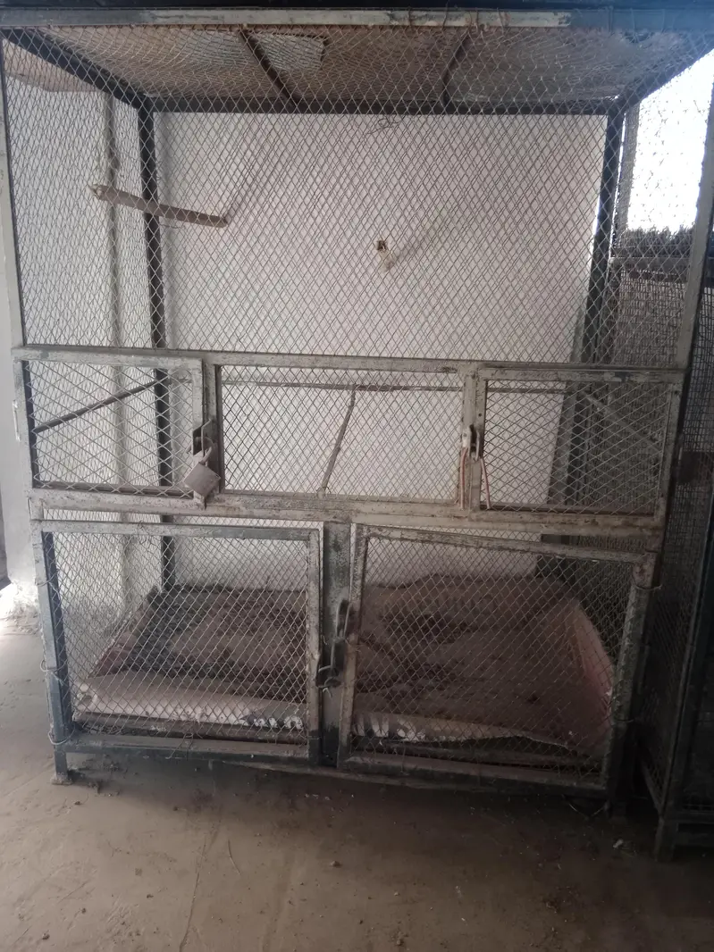 birds cage — photo 4