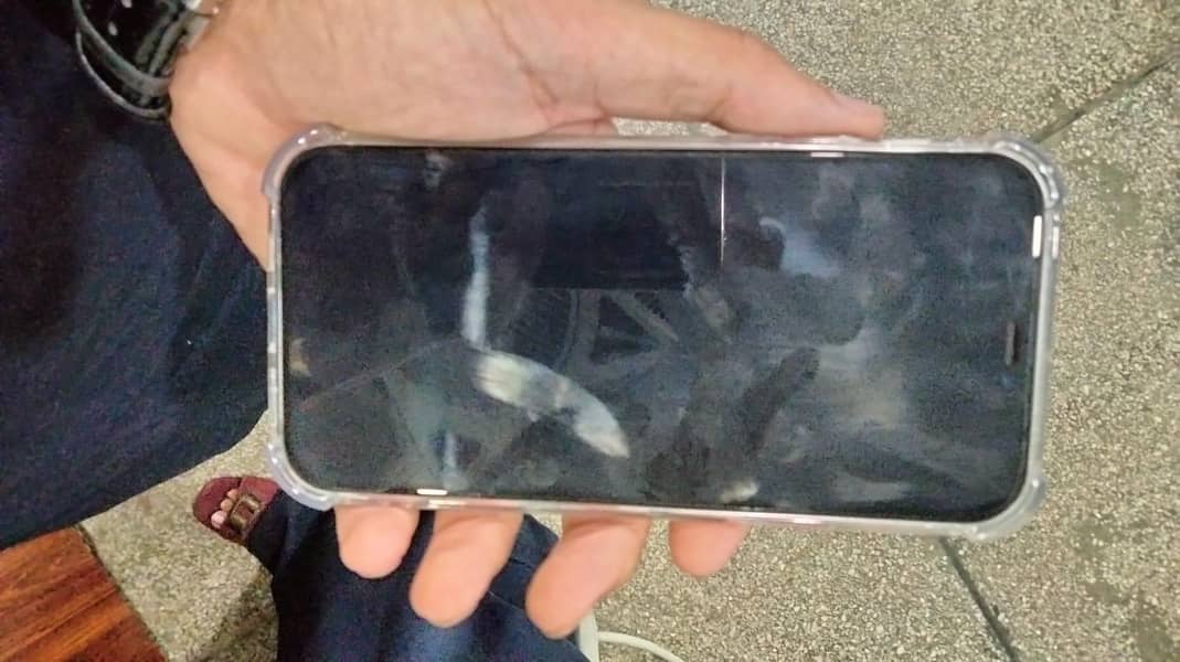 Apple iPhone 12 1