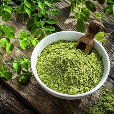  Premium Moringa Powder | Natural Herbal & Fresh | OPC Warrior