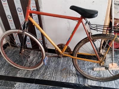 new cycle phoniex new frame