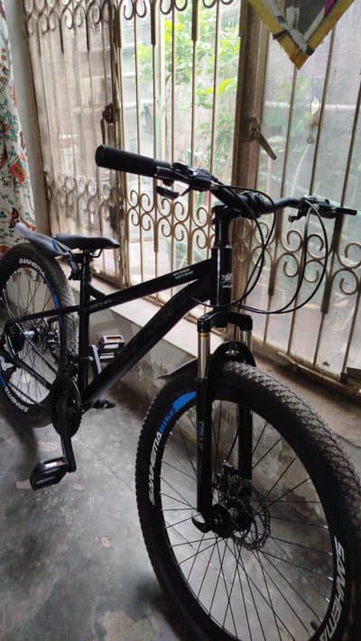 Sanhe Horse BiCycle