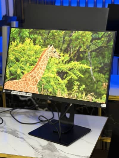 iiyama 24 inch border less black hawk monitor 75hz 1ms
