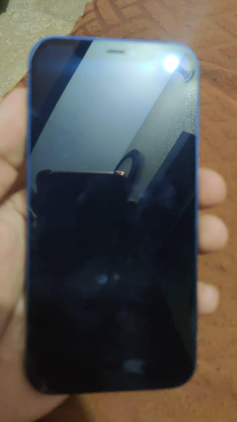 Apple iPhone 12 1