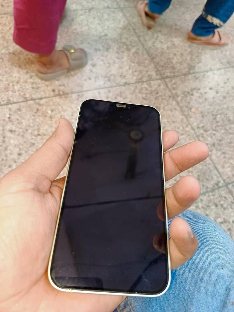 Apple iPhone 12 1