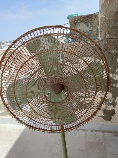 Pedestal fan