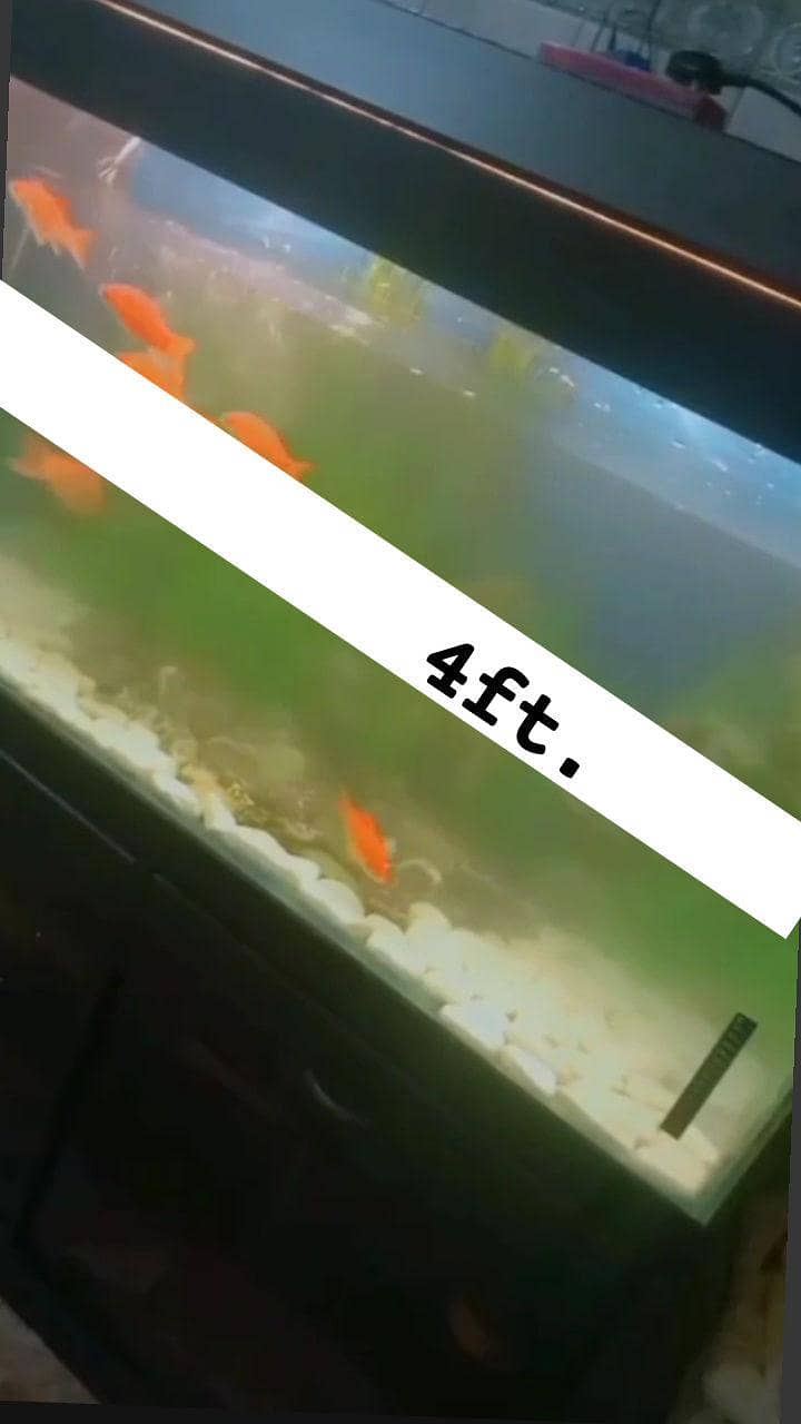 . . . . . 0
