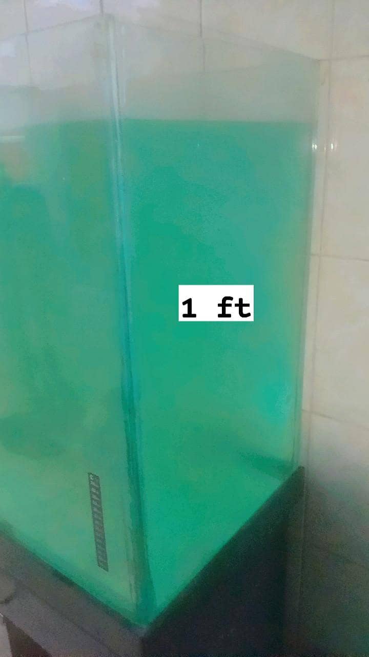 . . . . . 1