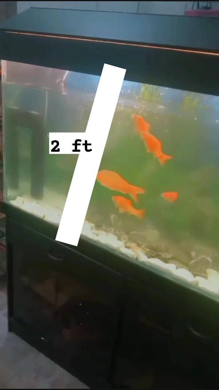 . . . . . 2