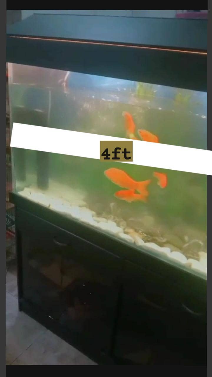 . . . . . 3