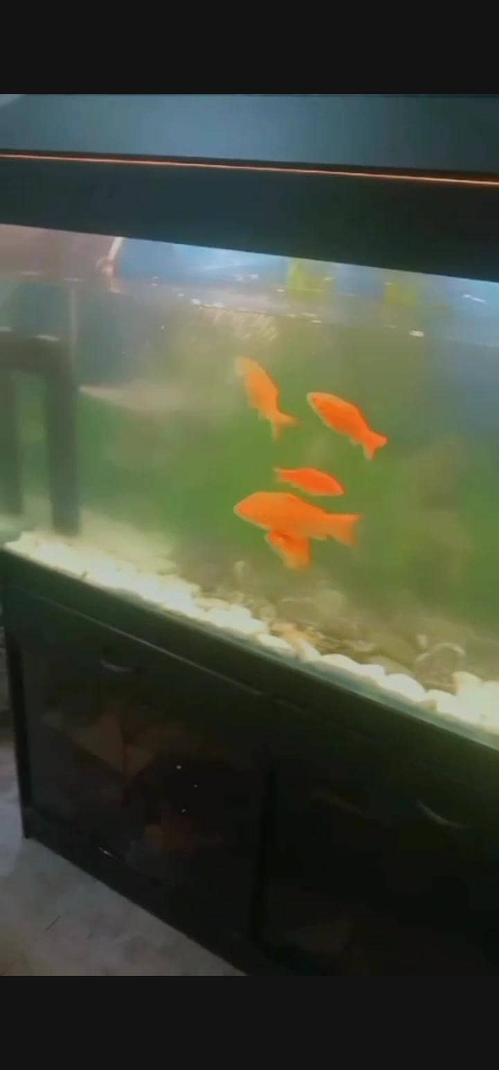 . . . . . 5
