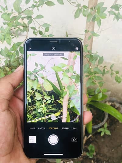 Apple iPhone X