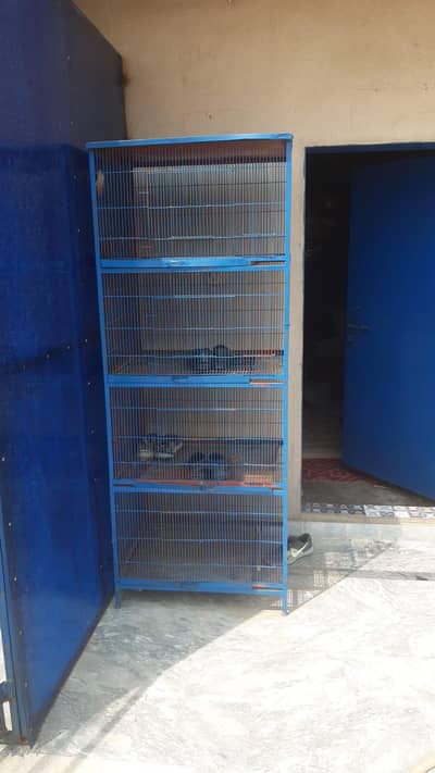 iron cages