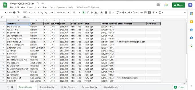 Data Entry Spreadsheet Work 3