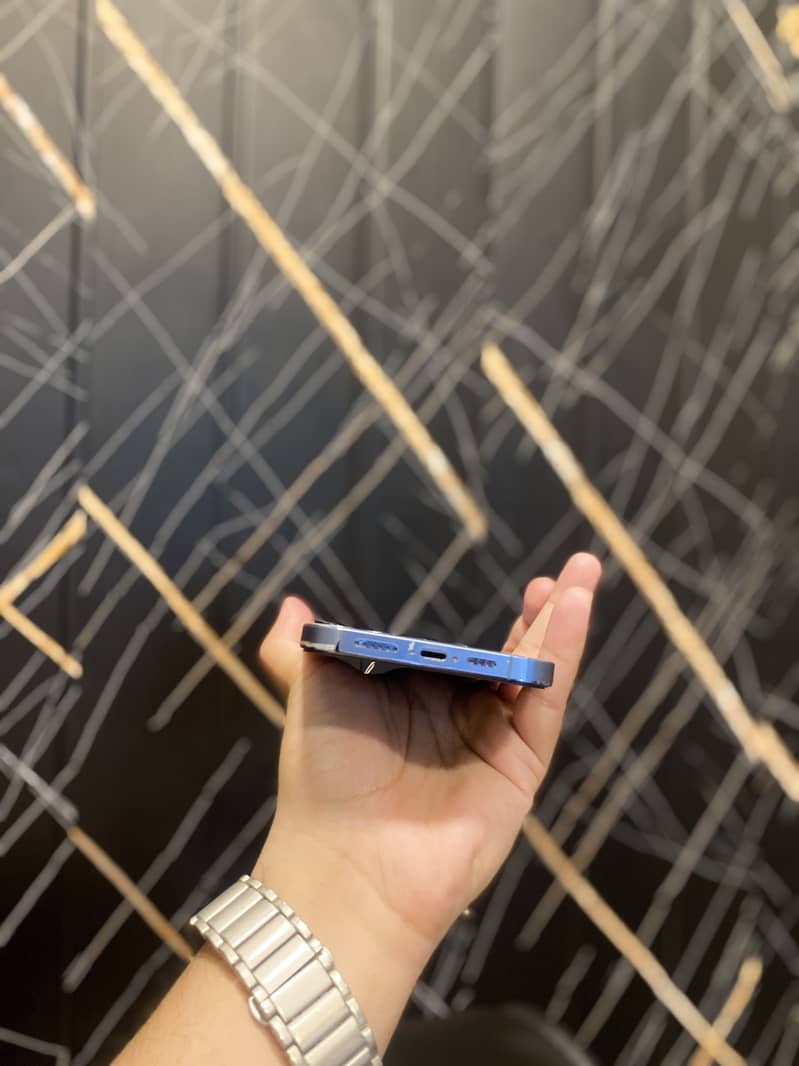 Apple iPhone 13 Pro Max 1