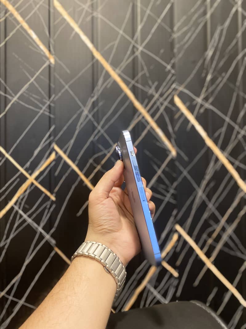 Apple iPhone 13 Pro Max 3
