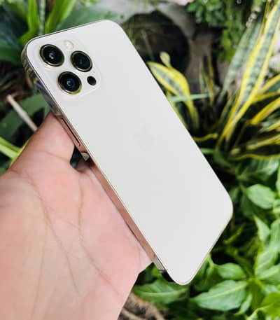 iPhone 12 Pro Max Gold | 256 GB | PTA Approved Dual Physical Sim X/11