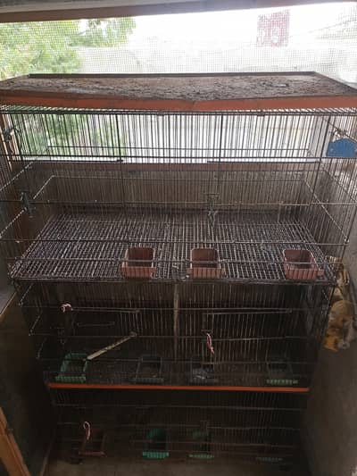 3 Portion Birds Cage