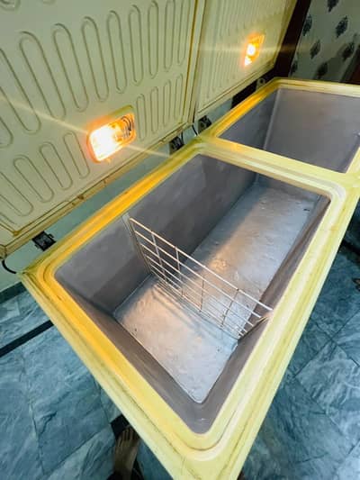 deep freezer full size (03248468747)