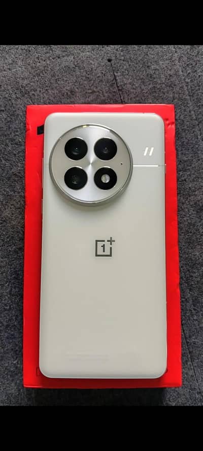 One Plus 13