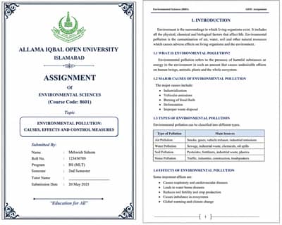 AIOU & All University Assignment | PDF/Handwritten to Word