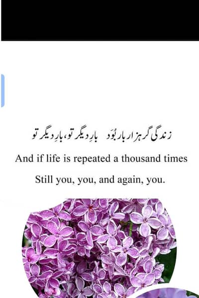 Faria Majeed