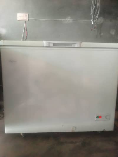 Haier Freezer