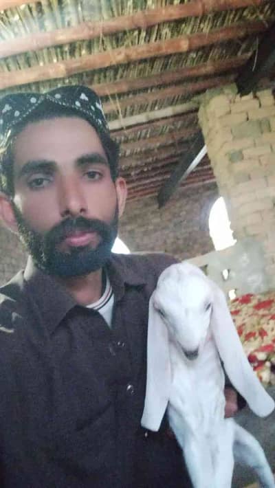 Sajjad Hajana