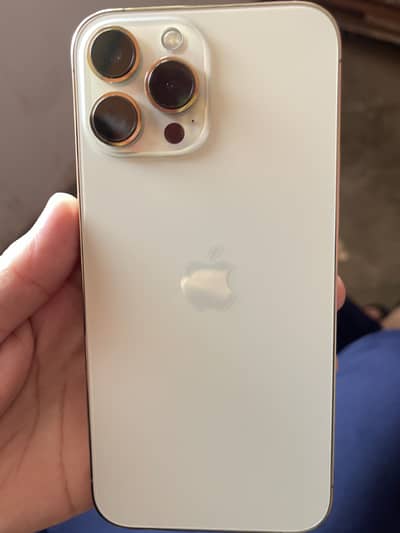 Apple iPhone 13 Pro Max