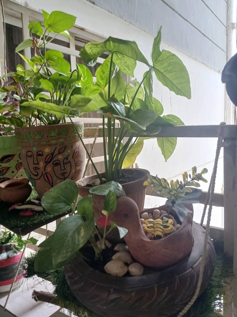 plants 10