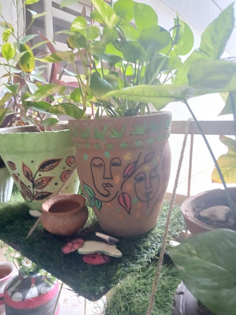 plants 12