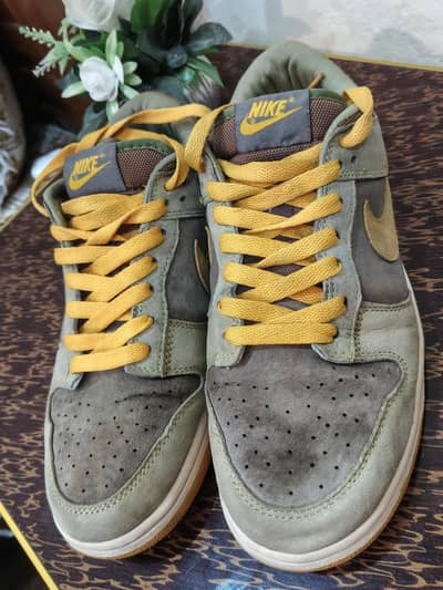 Nike Dunk Low "Viotech"