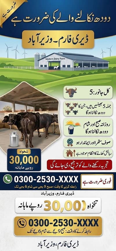 dairy farm job