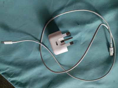Orignal Iphone charger & Headphones