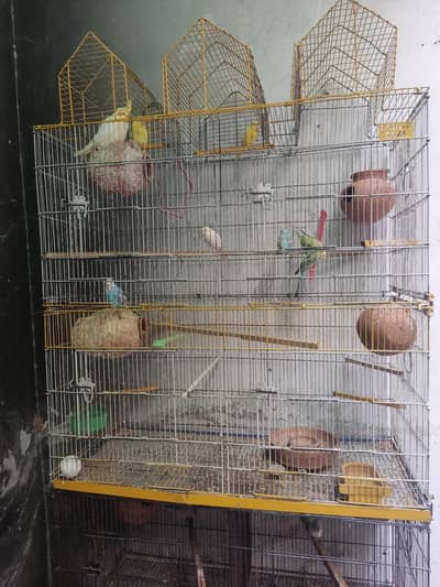 Birds 8 portion cage for sale