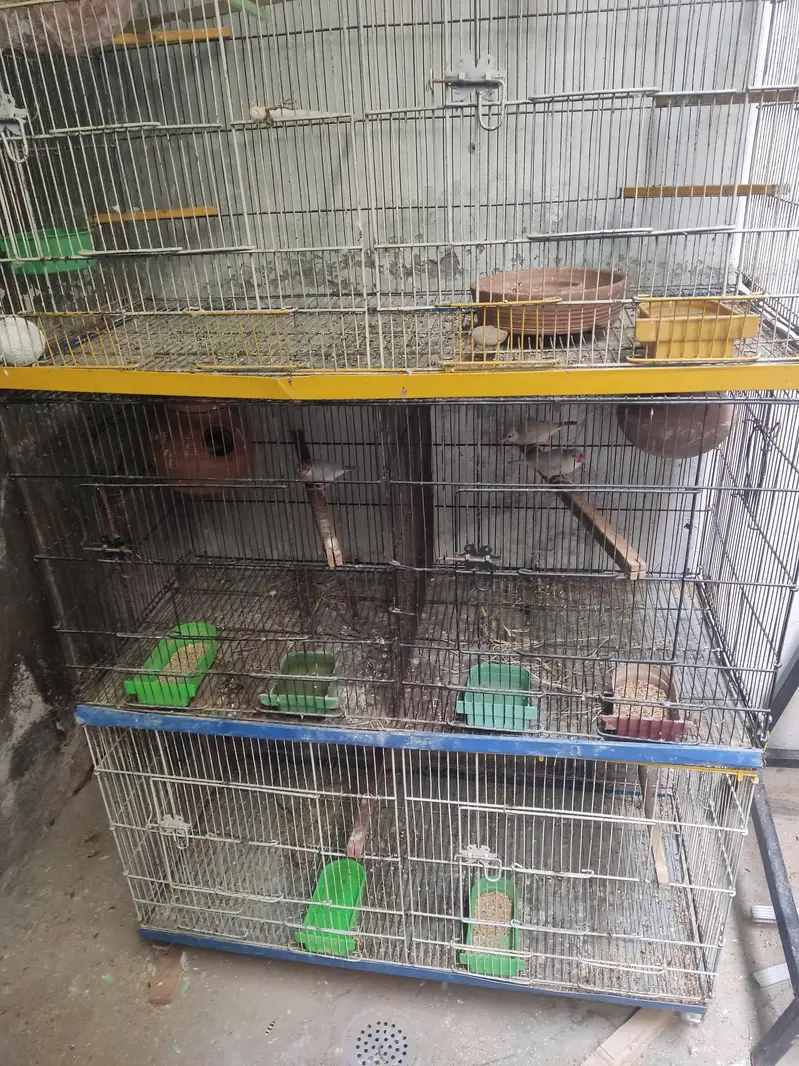 Birds 8 portion cage for sale — photo 2