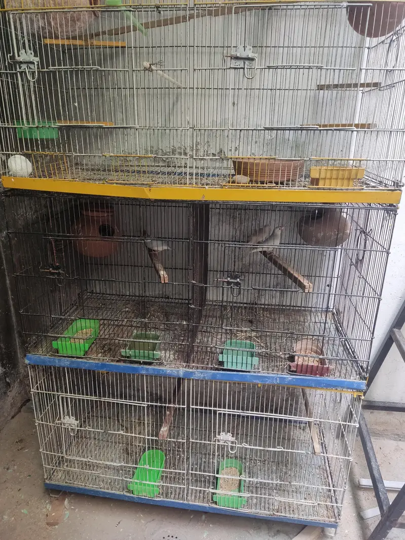 Birds 8 portion cage for sale — photo 3