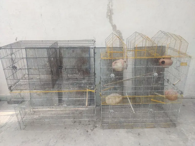 Birds 8 portion cage for sale — photo 4
