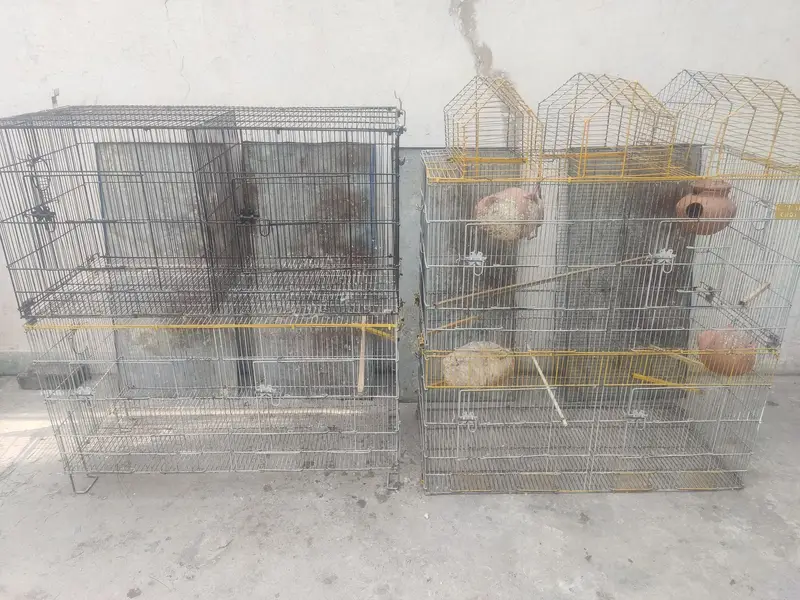 Birds 8 portion cage for sale — photo 5