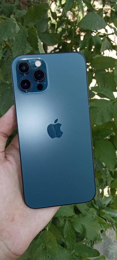 Apple iPhone 12 Pro PTA Approved