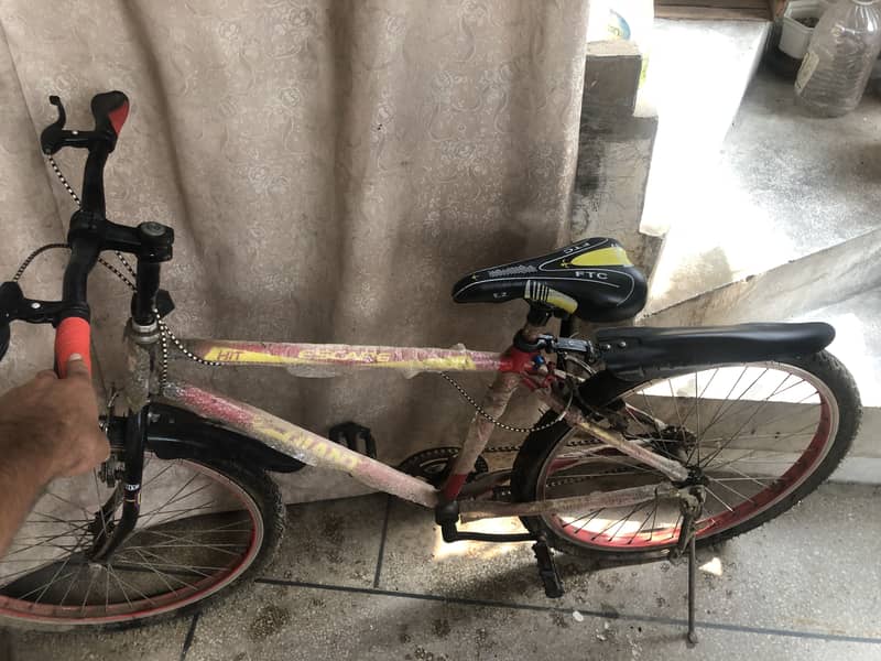 Cycle 2