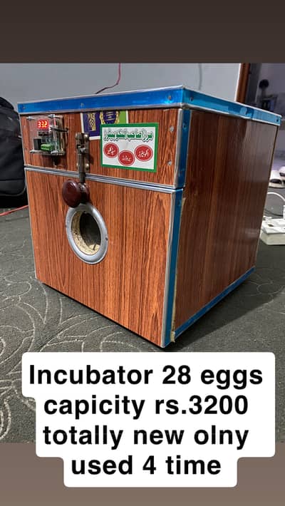 Bantam pair and incubator