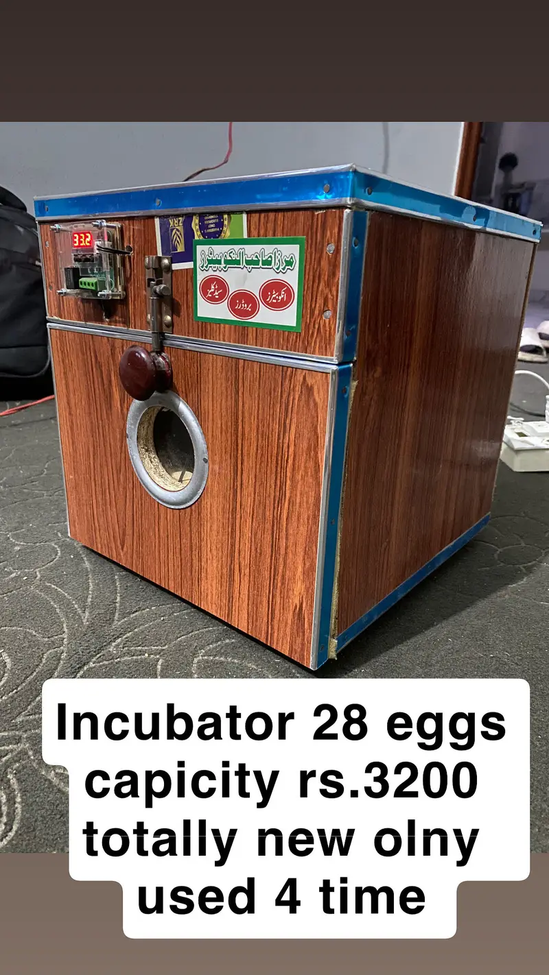 Bantam pair and incubator — photo 3