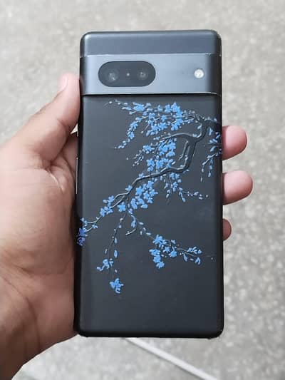 google pixel 7