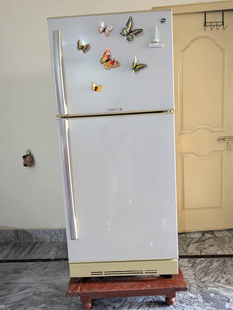 pel fridge 1