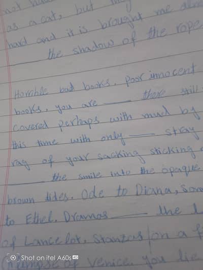 Assignment writer