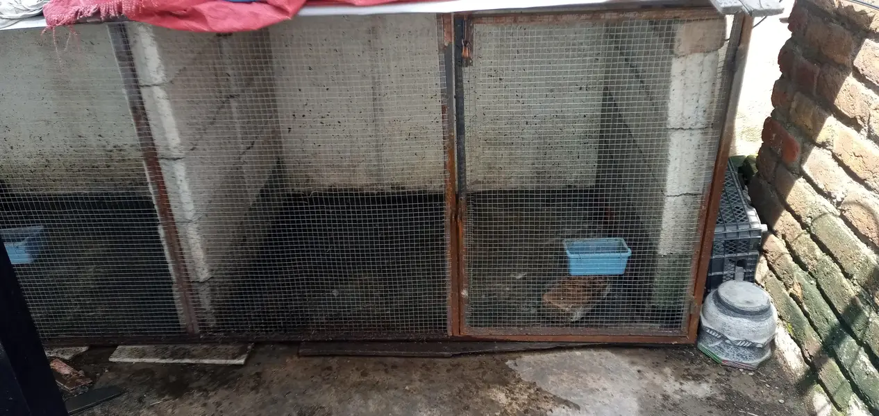 Iron Cage front Side with two Doors For Sale