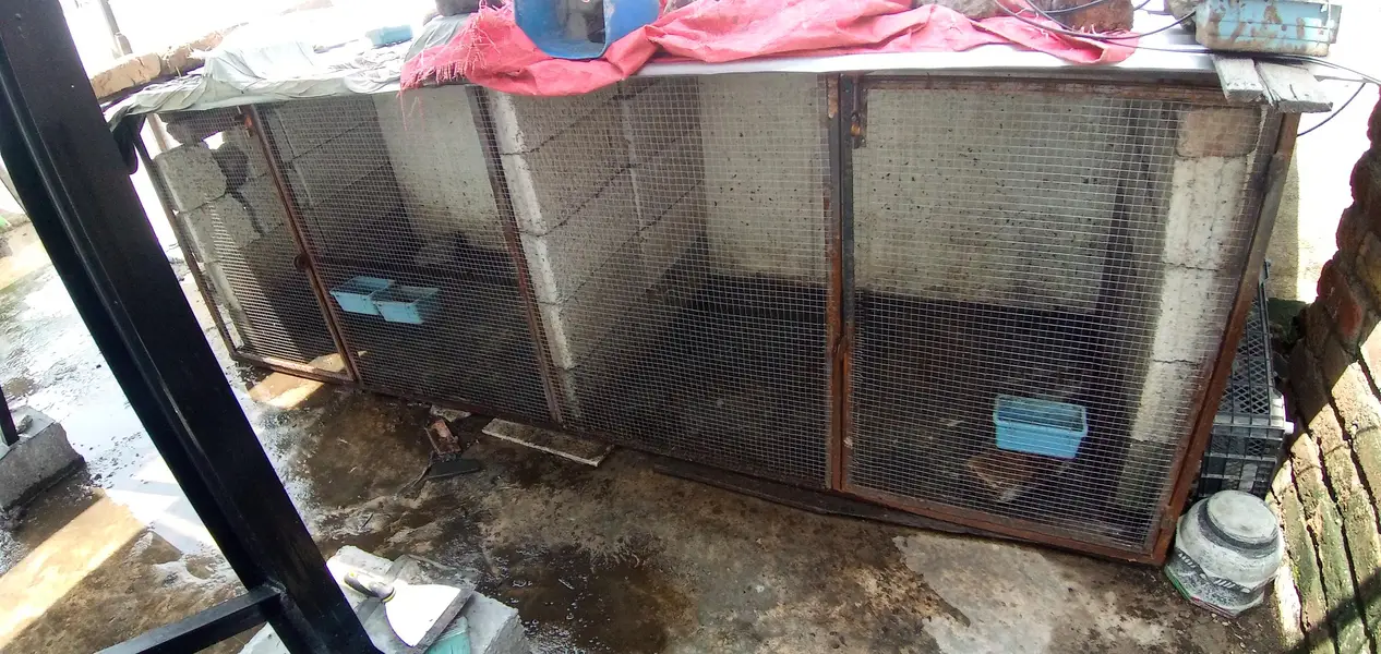 Iron Cage front Side with two Doors For Sale — photo 2